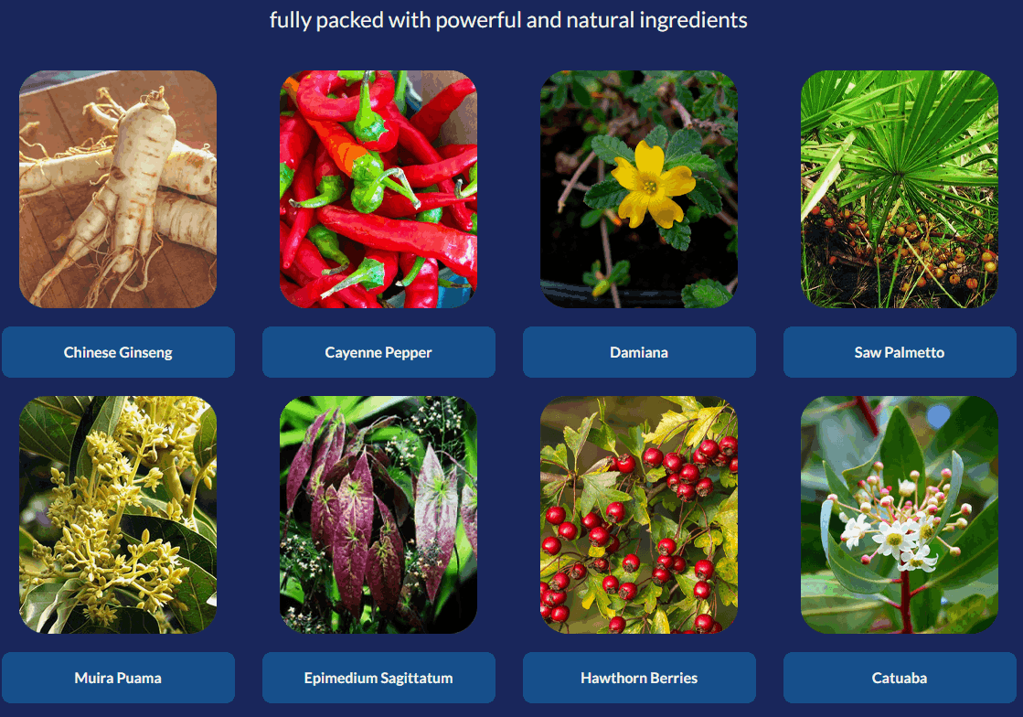 ProtoFlow Plant-Based Wellness Ingredients